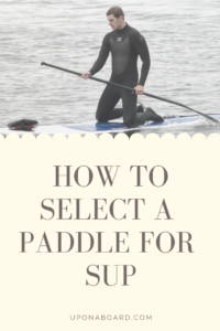 paddle board paddle