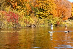 paddle board safety