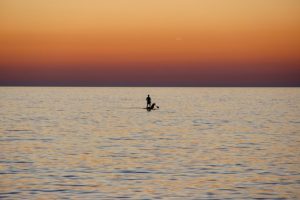 paddle board with a dog